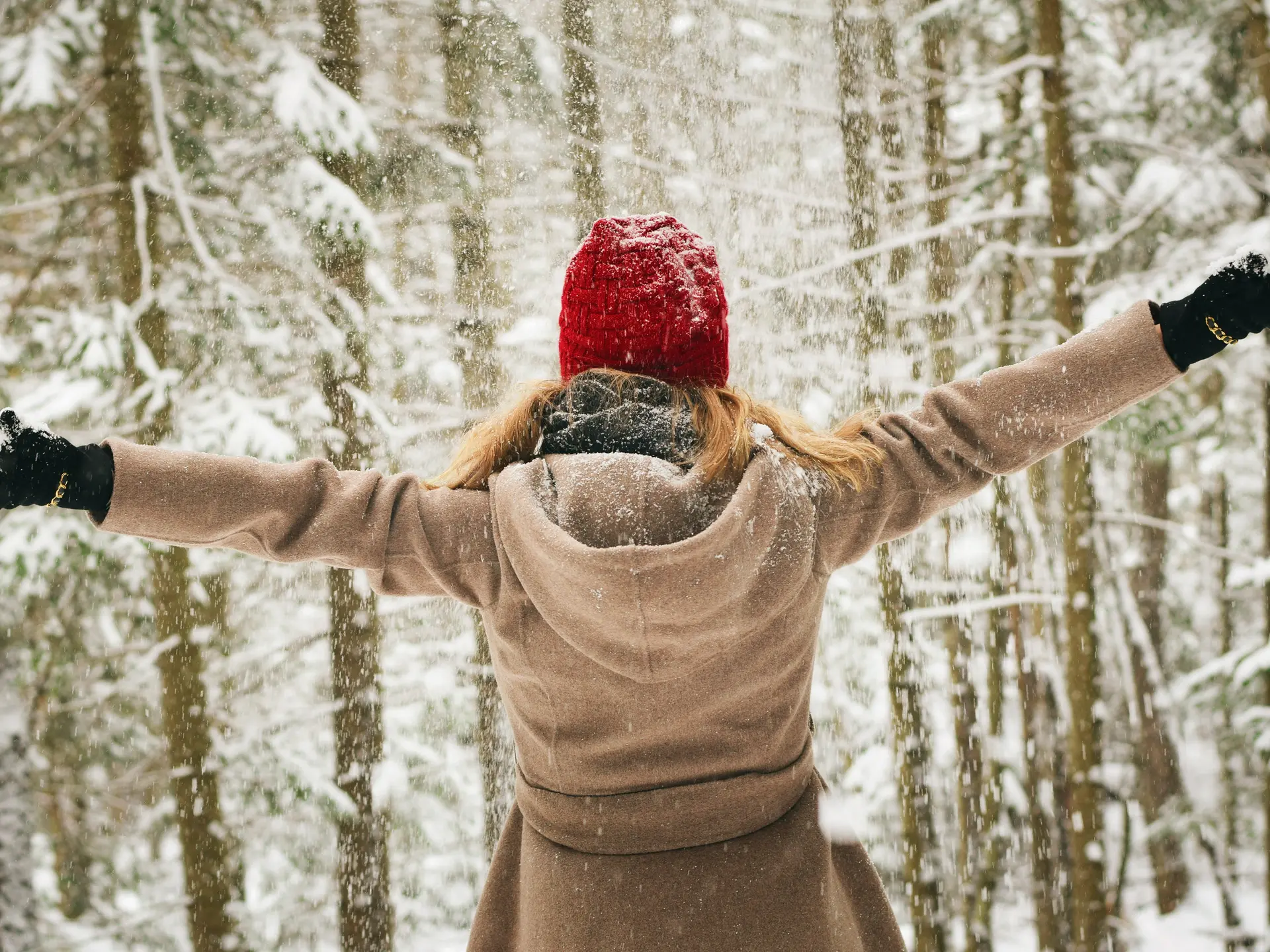 Ecouter les bruits de la nature, découvrez les forêt