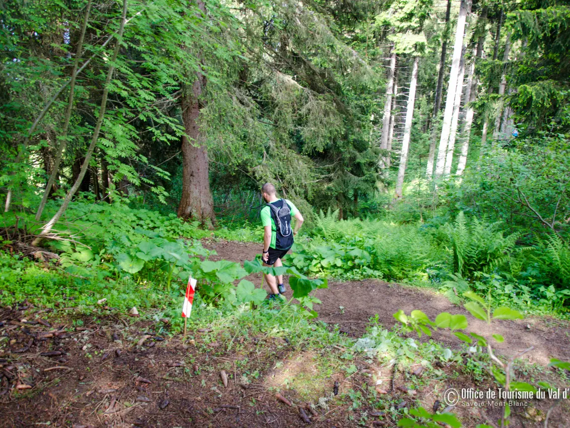 Parcours trail le Gâteau