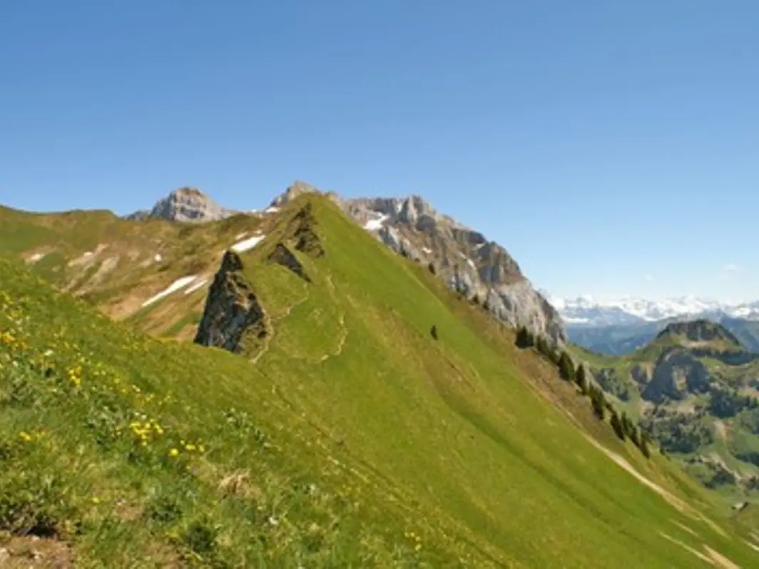 Le Col de Pavis