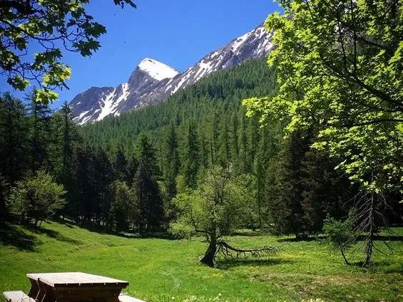 Près à la cabane vieille