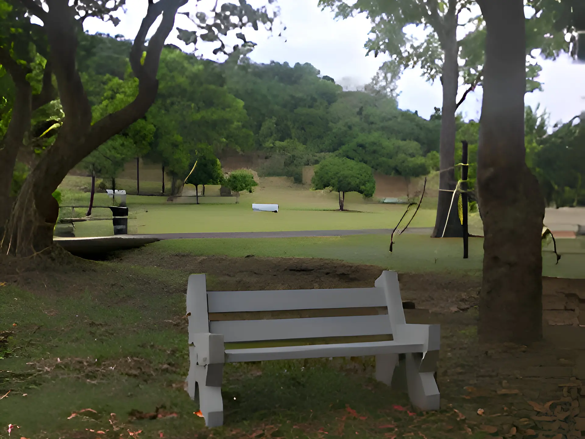 Parc Diard à Yahoué