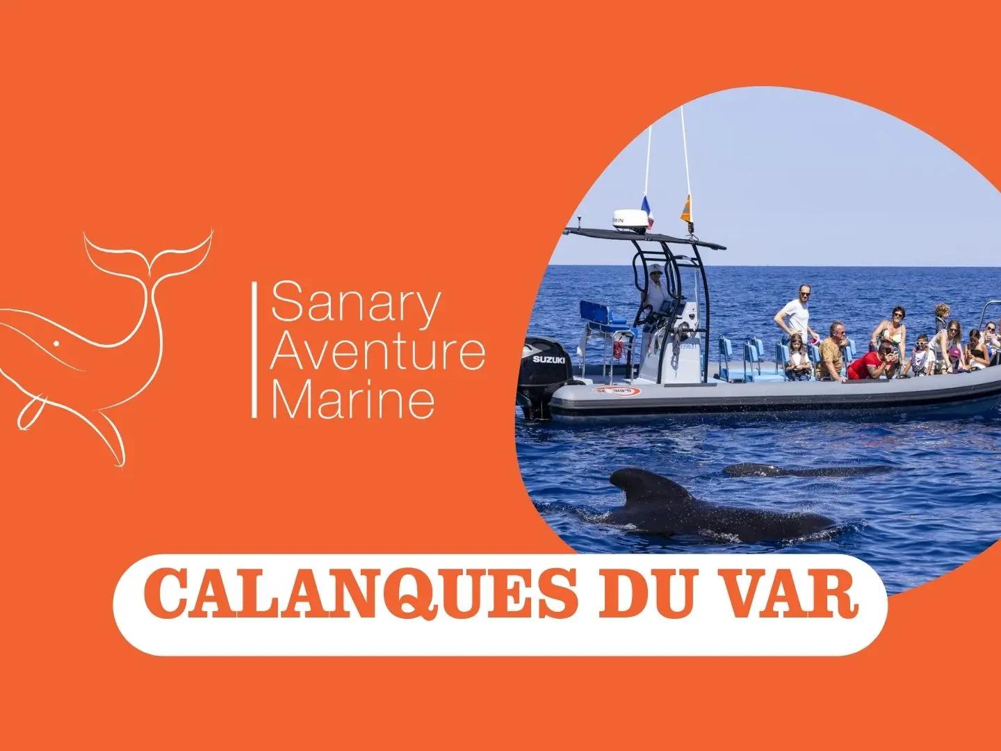 Calanques du Var | Sanary Aventure Marine_Sanary-sur-Mer