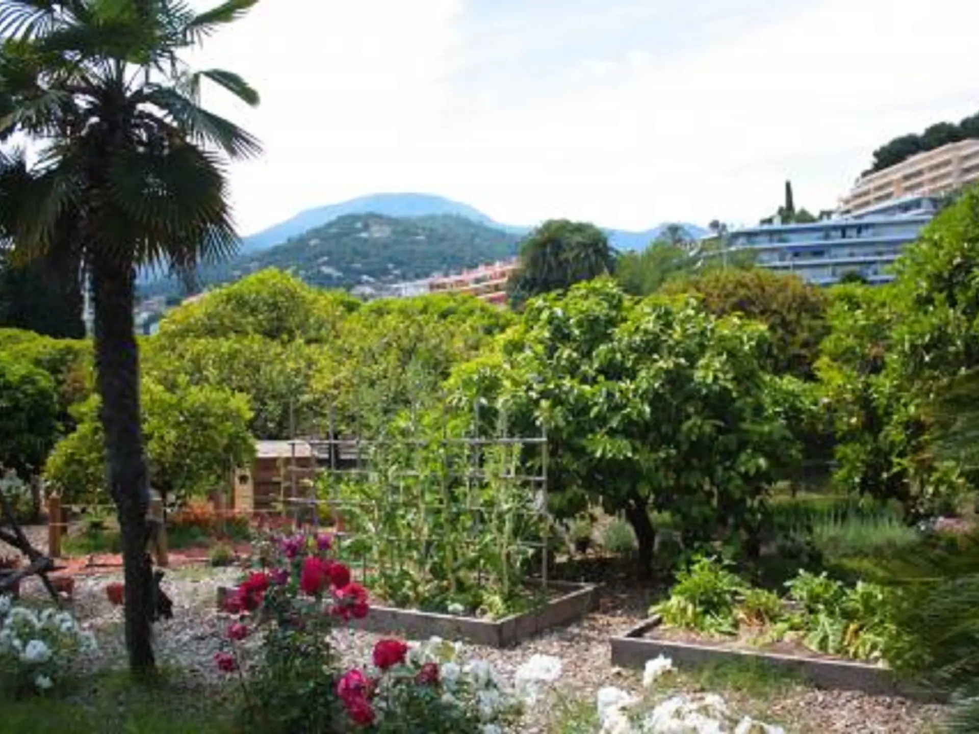 Dans le jardin du Palais de Carnolès