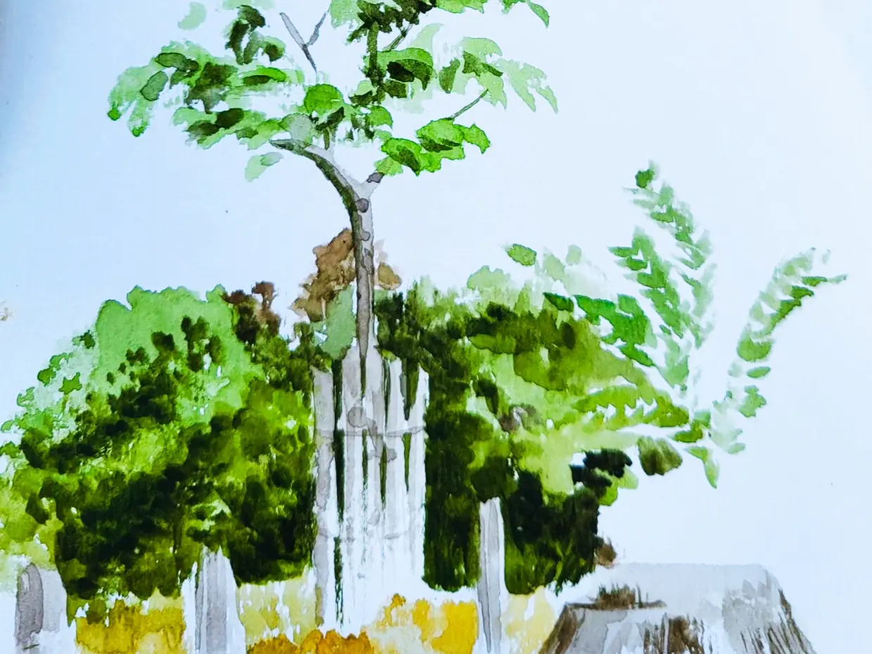 Ateliers découverte de l'aquarelle avec Eliz
