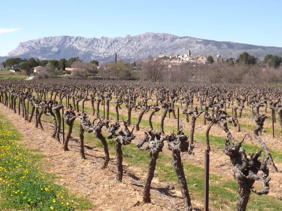 Vue sur le vignoble, la Sainte Victoire & le village de Pourrières