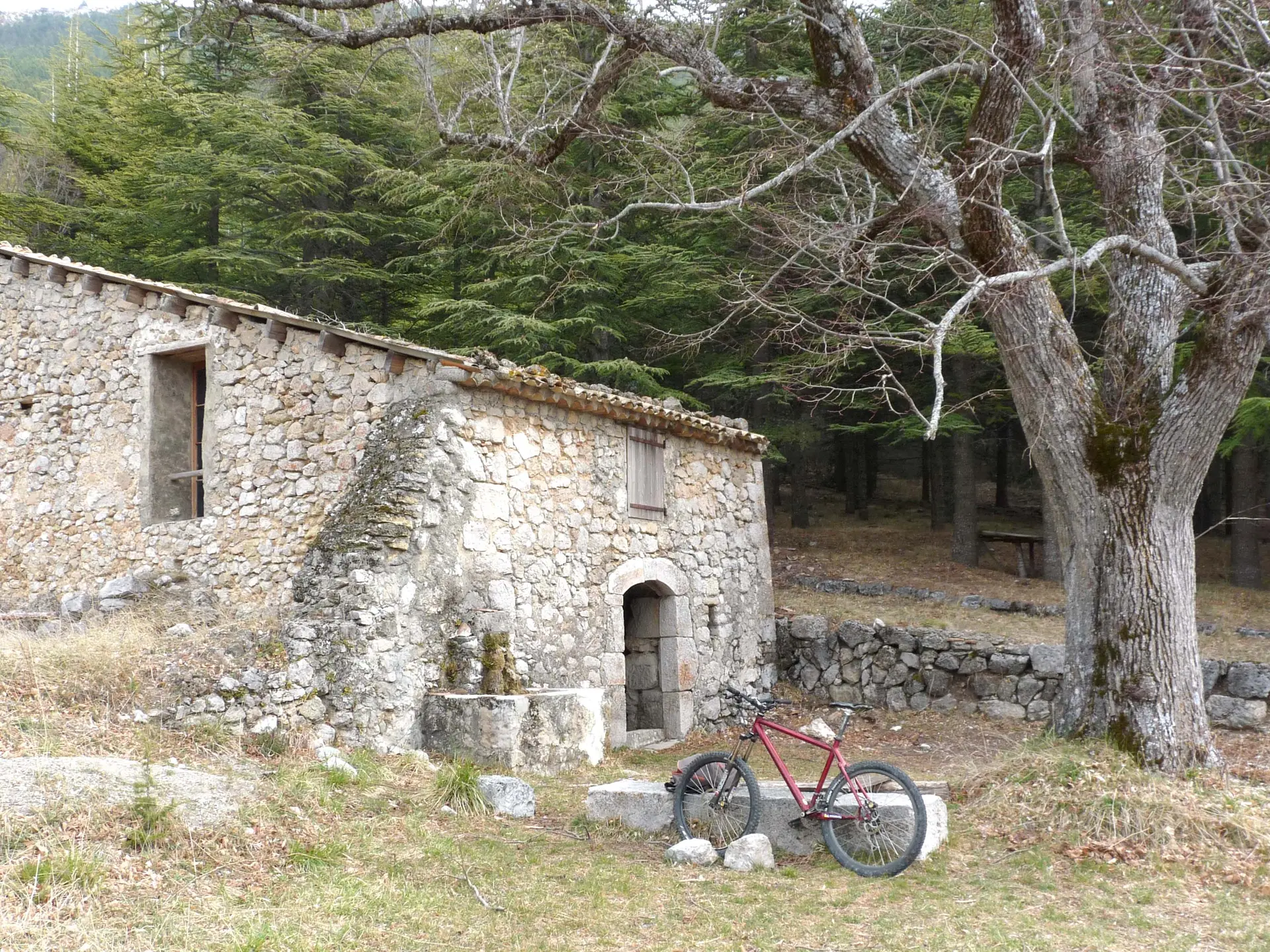 Une clairière, la maison forestière, son tilleul, sa fontaine... un coin de paradis!