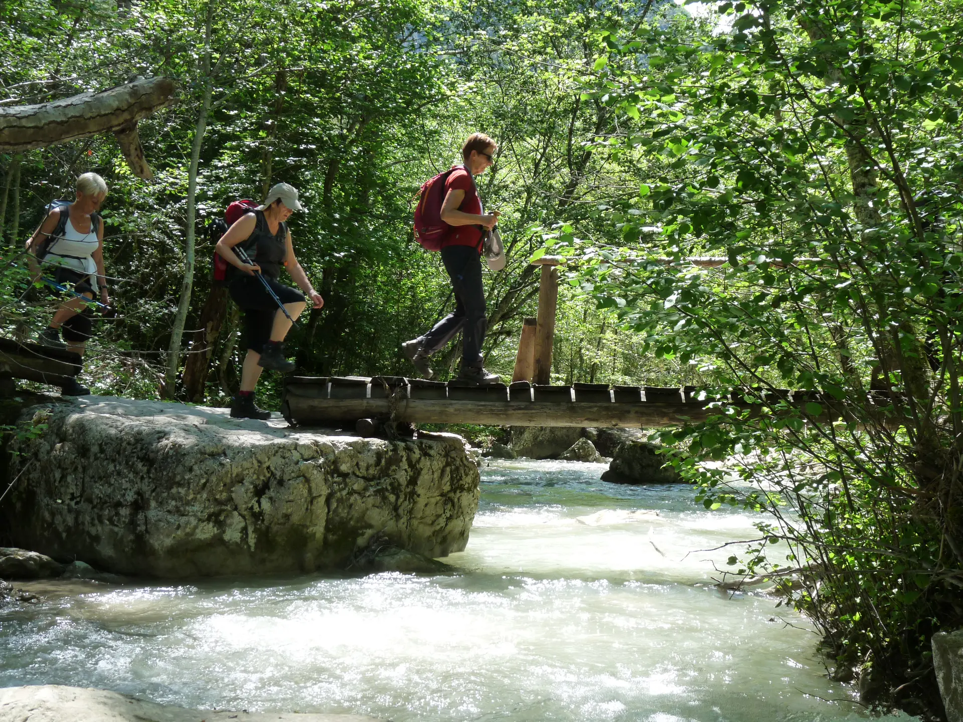 Une passerelle au ras de l'eau