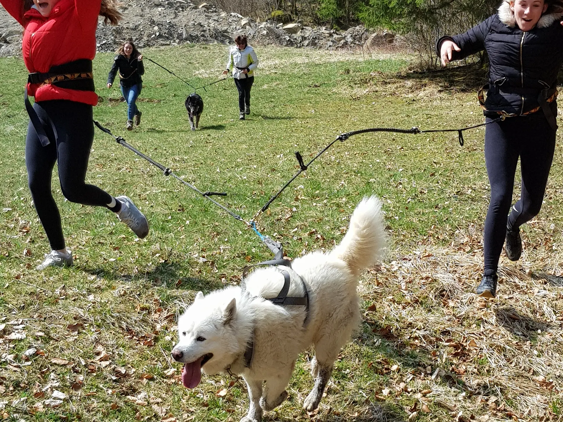 Canirandonnée avec Traîneaux Passion