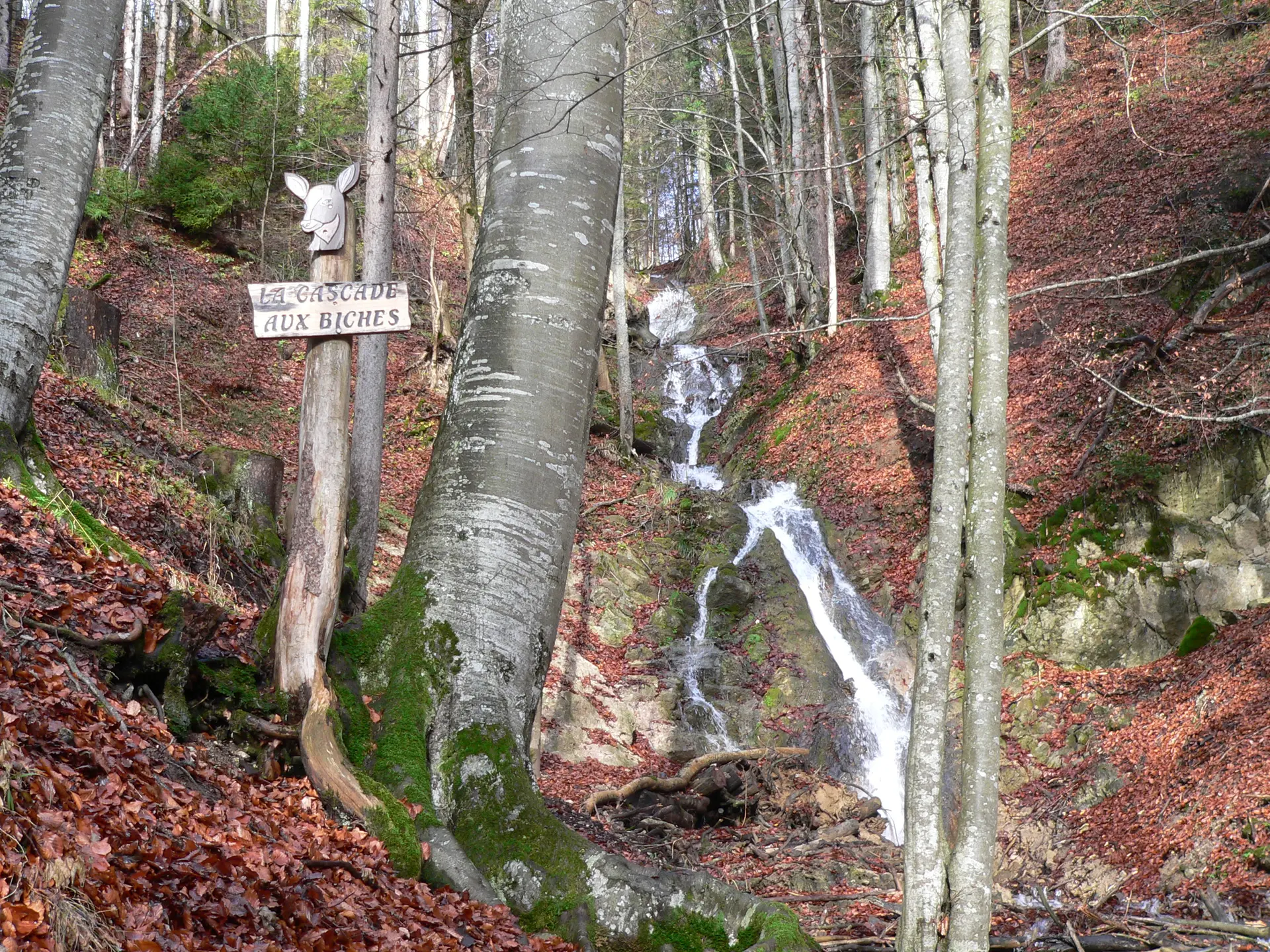 Cascade aux biches