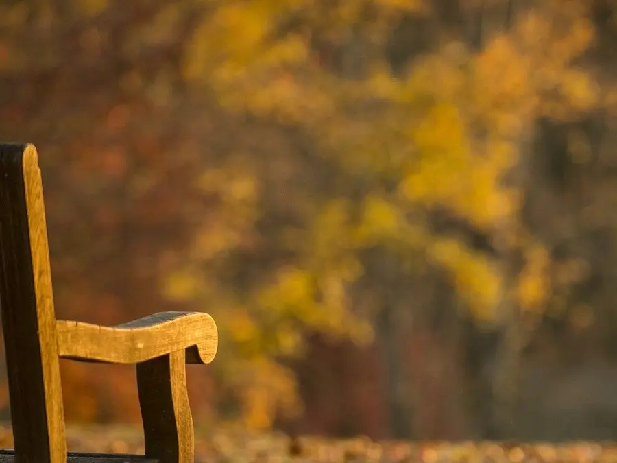 Banc dans un parc boisé