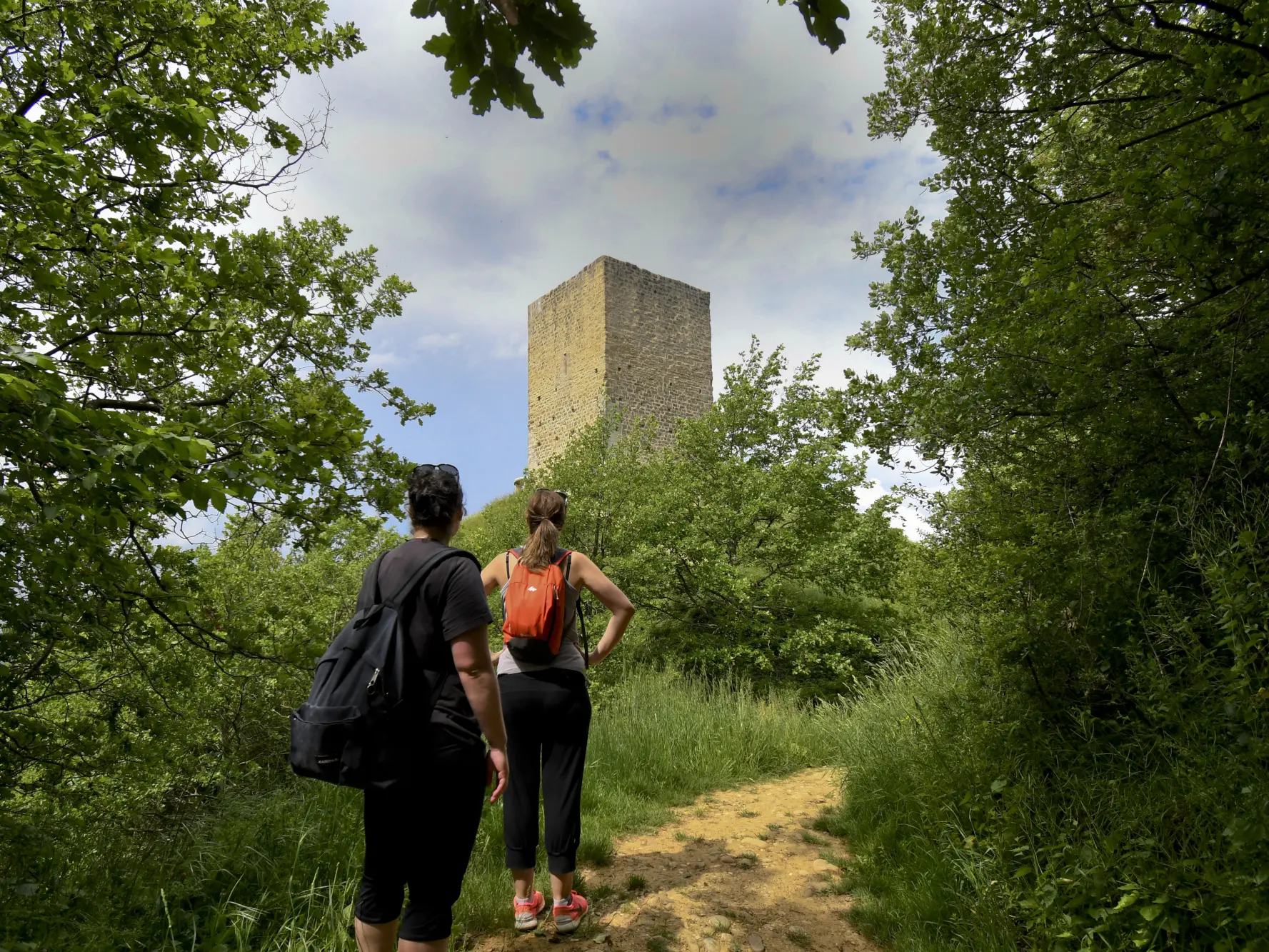 La Vigie du Dauphiné_Anneyron