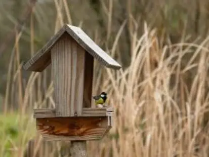 Les ateliers du jardin : fabrication d'une mangeoire à oiseaux_Allex