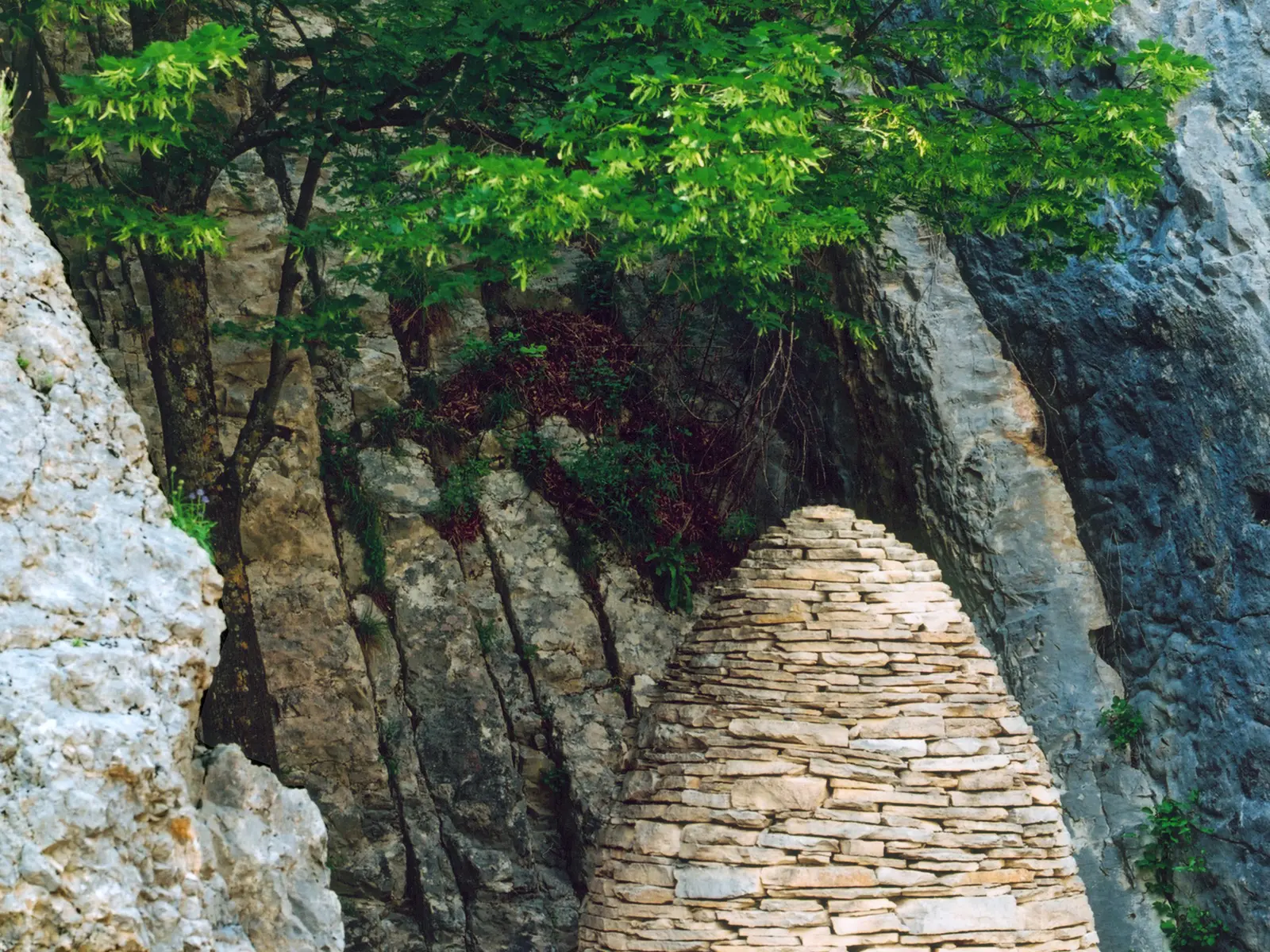 Sentinelle de la vallée du Bès