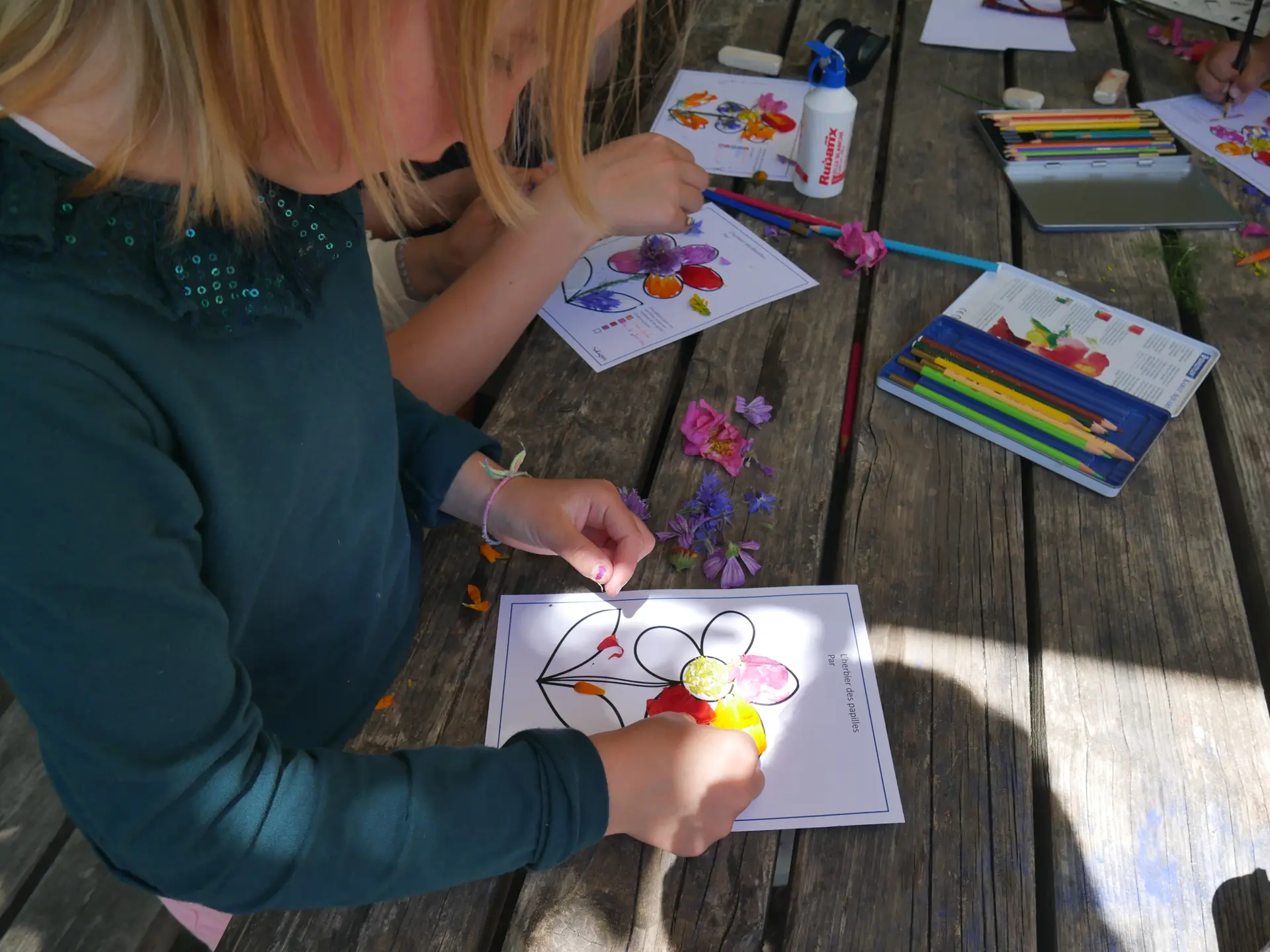 Atelier herbier de plantes médicinales