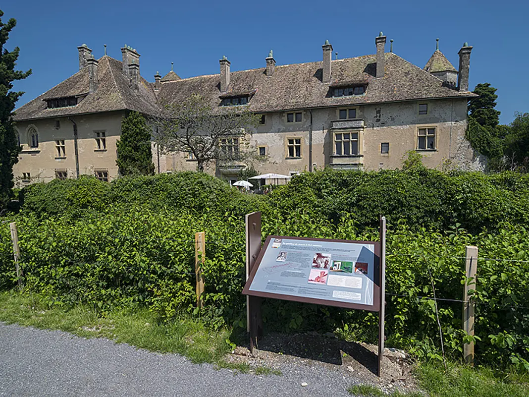 Ripaille et ses vignobles (Thonon-les-Bains)