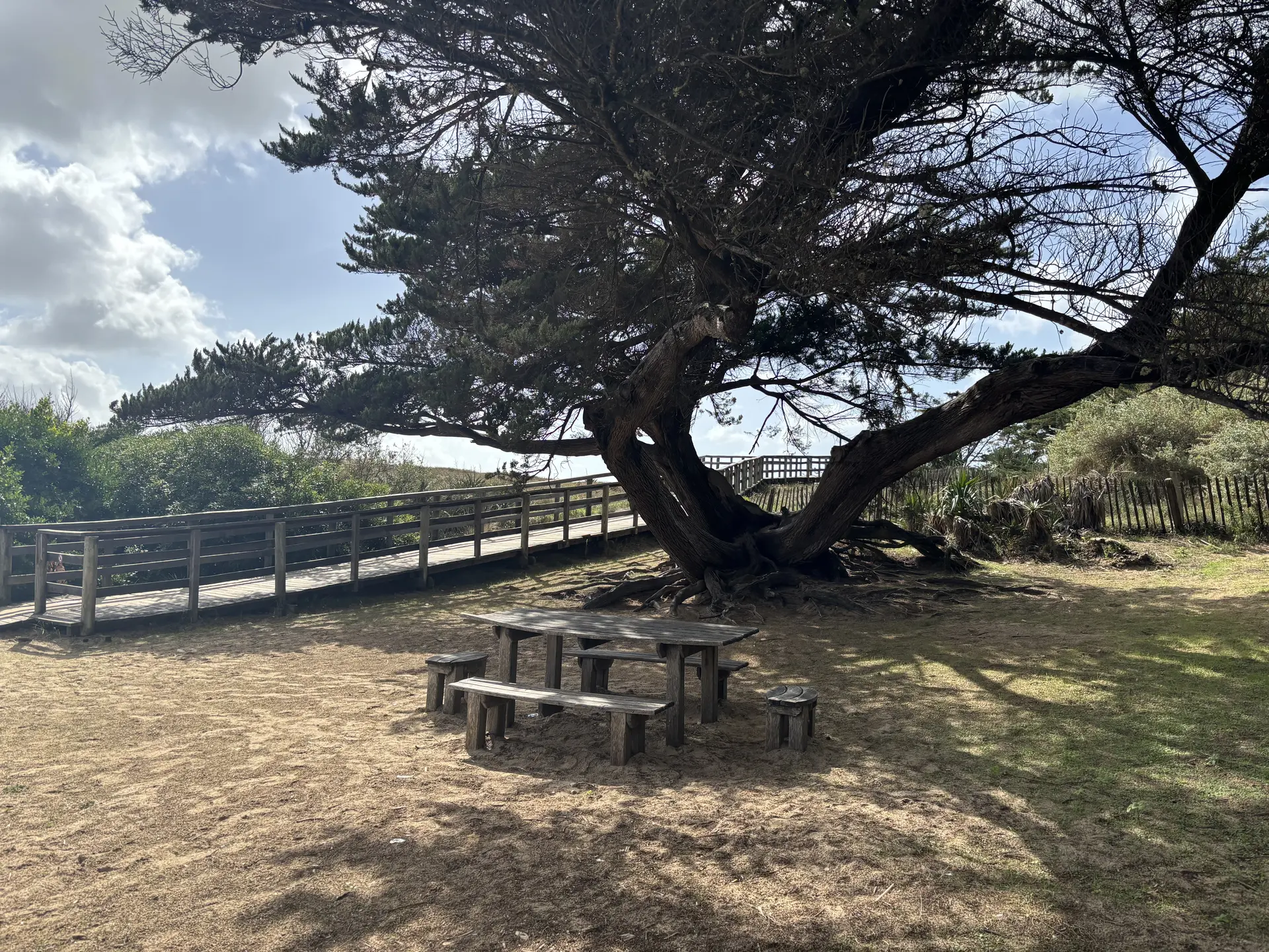 Área de picnic de la Plage des Gollandières Le Bois-Plage-en-Ré