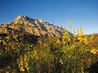 Réserve naturelle de Sainte Victoire