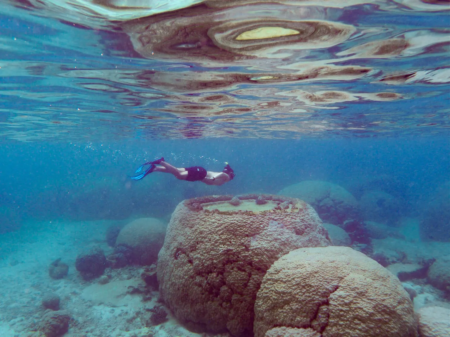 Snorkelling - Sentier sous - marin de Poé