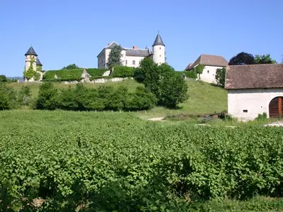 Chateau d'Andert-Condon