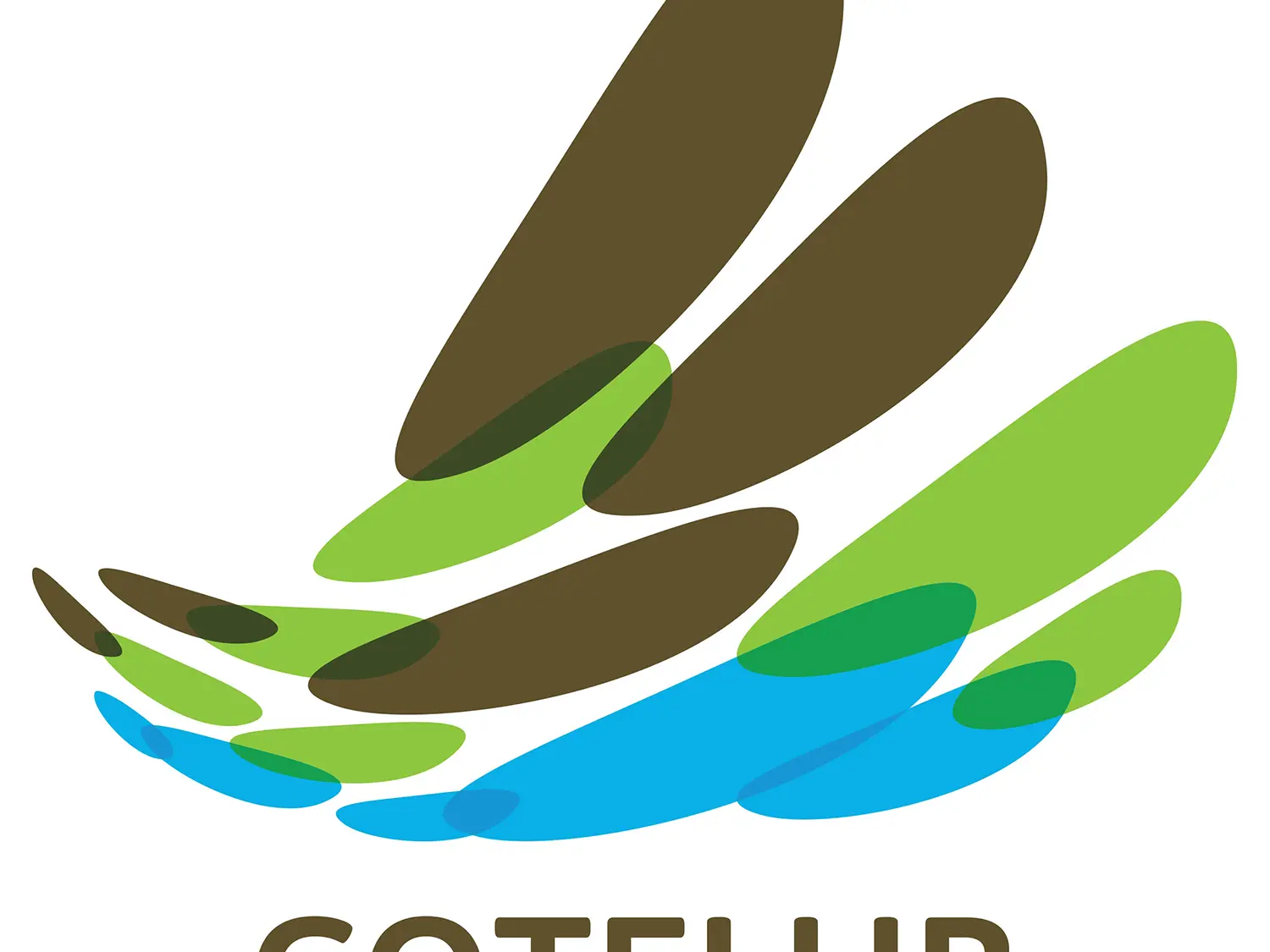 LOGO COTELUB