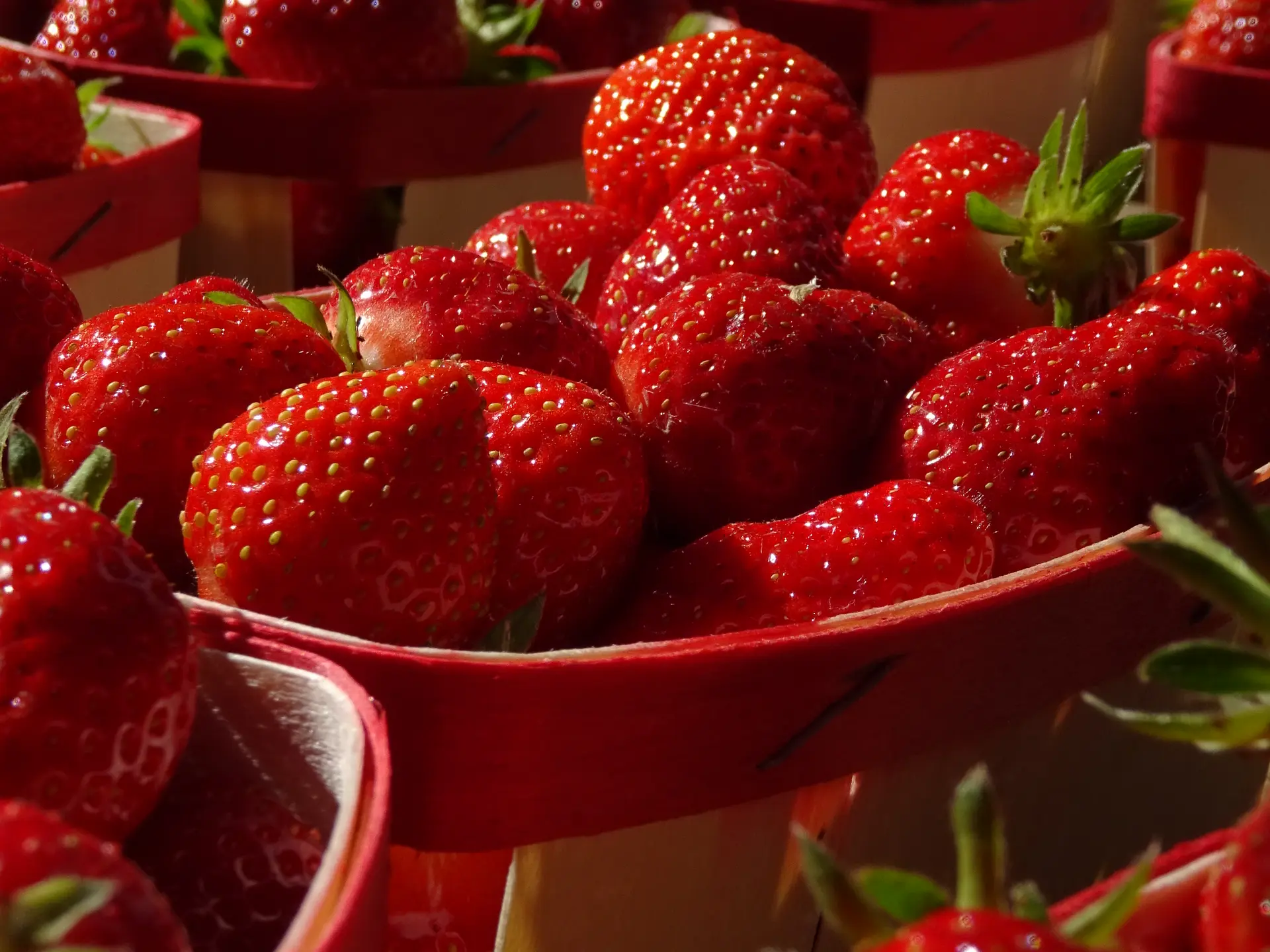 Fraises