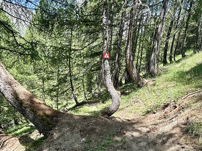 VTT AE : Les Ponchus_La Foux d’Allos