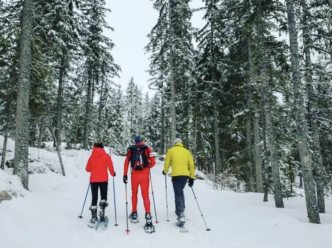 Raquettes à neige