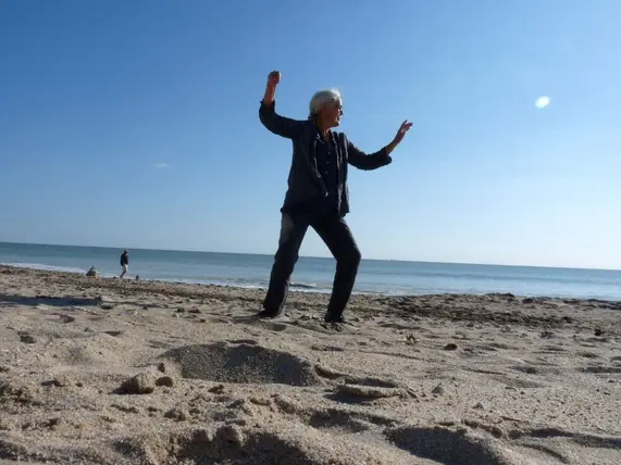 Cours et stage de Tai Chi intégral à Loix_Loix