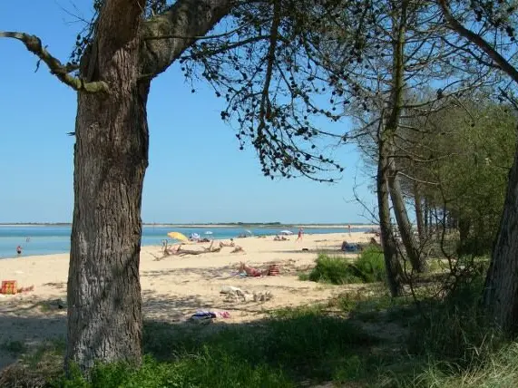 Plage de Trousse Chemise