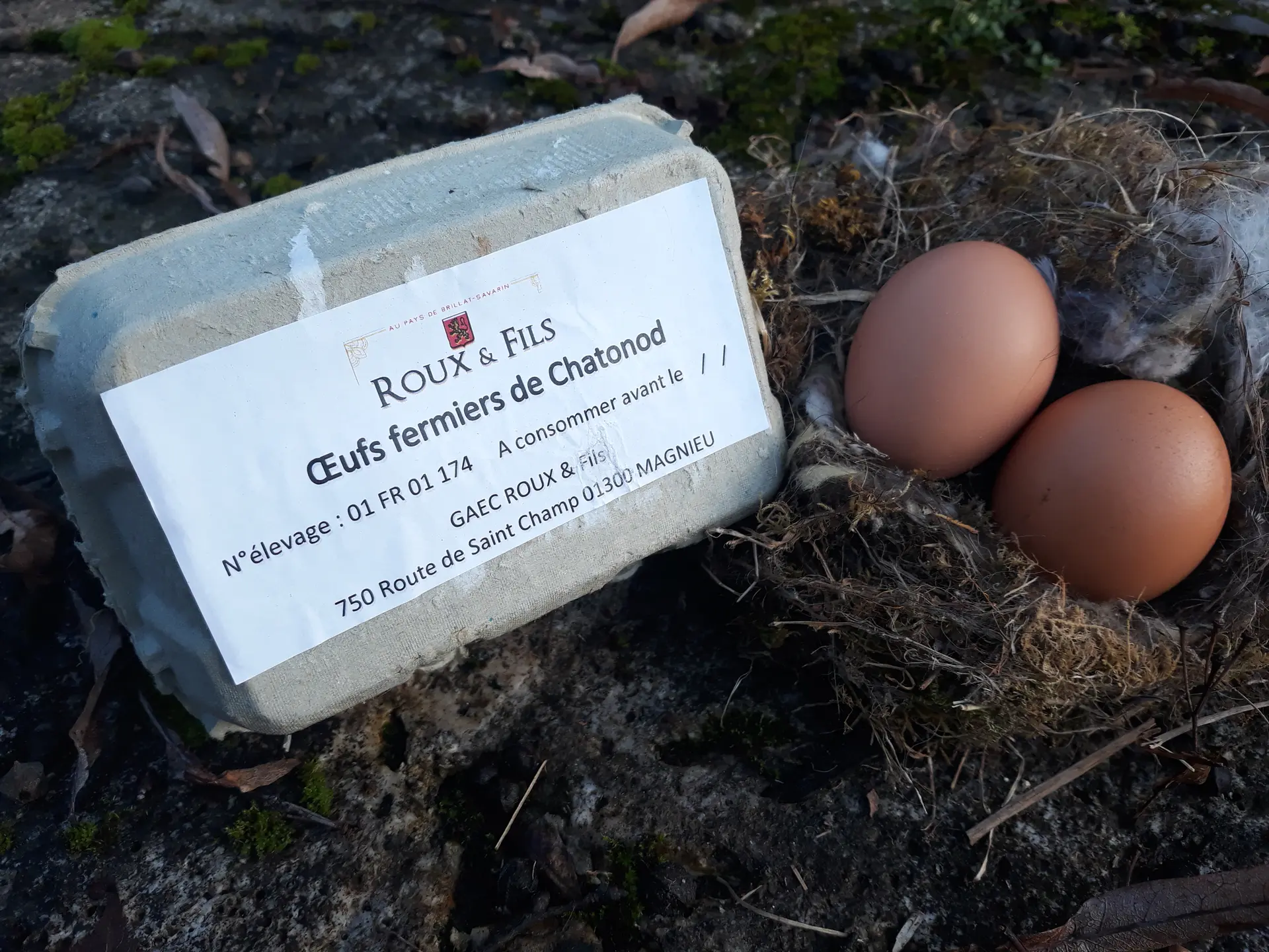 Oeufs bio de Chatonod