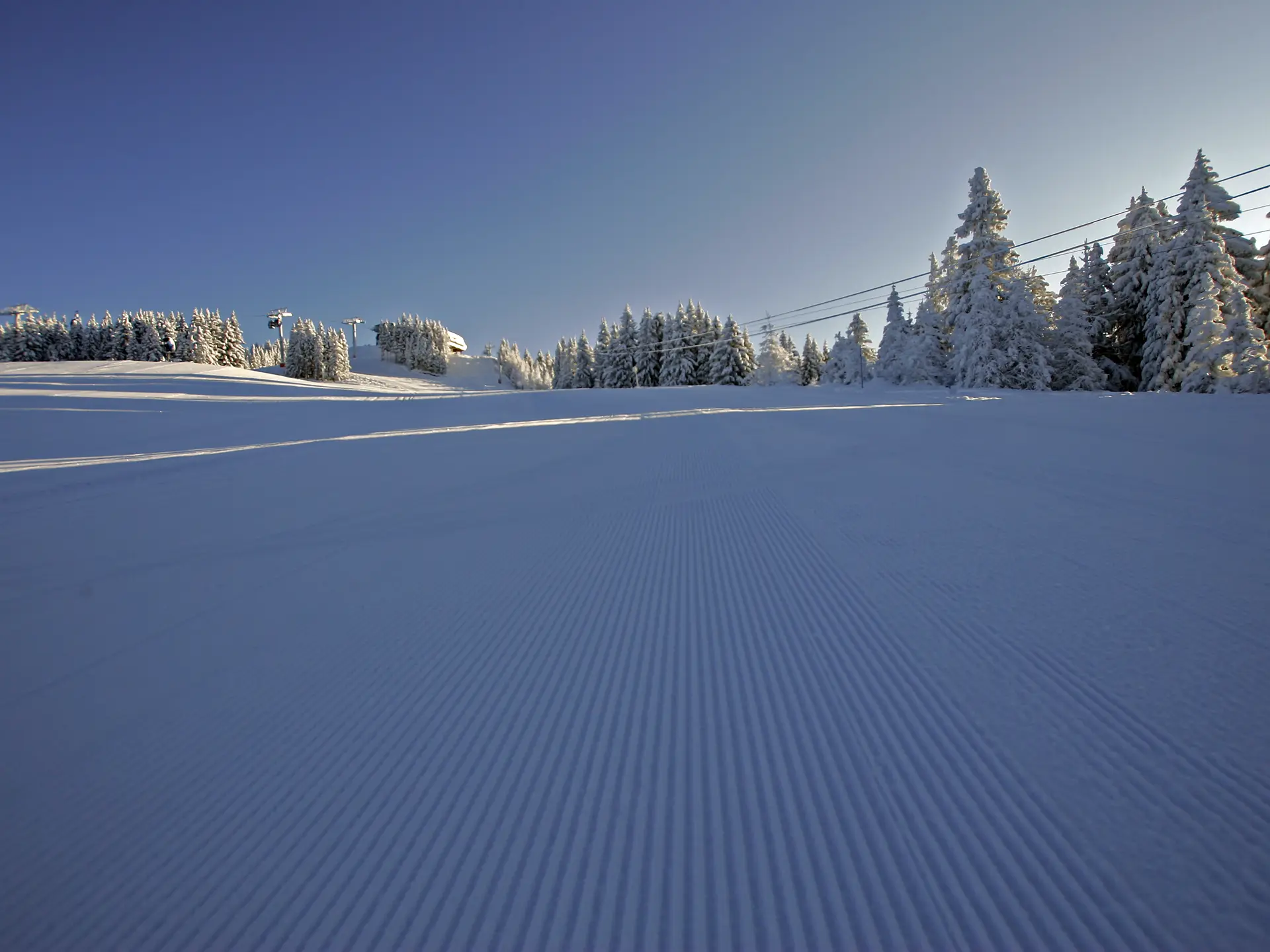 Piste dammée