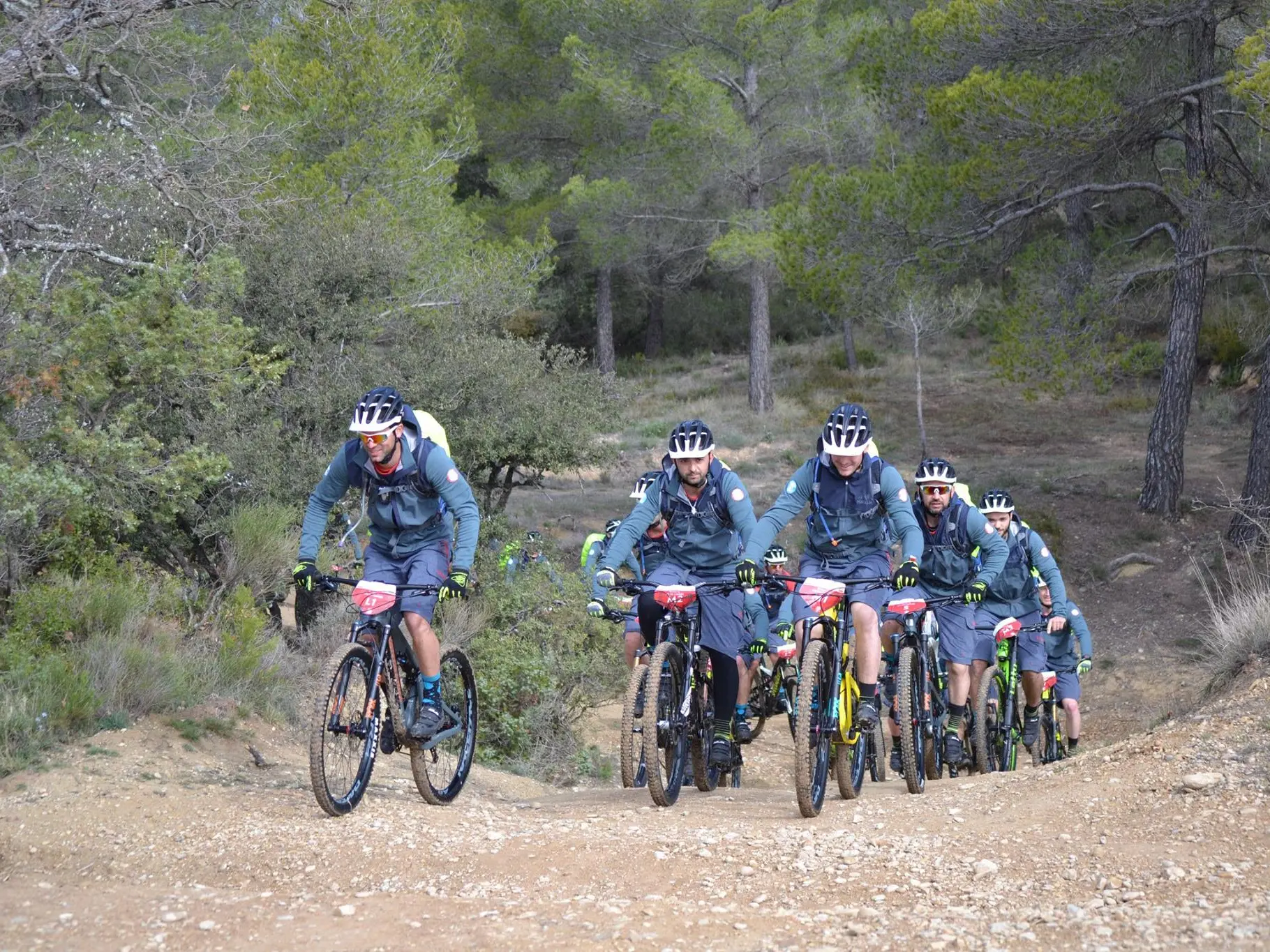 Track 3 Provence Verdon MTB