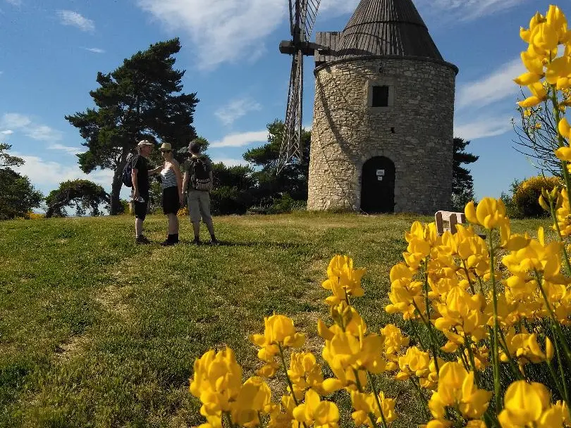 Le moulin de Montfuron