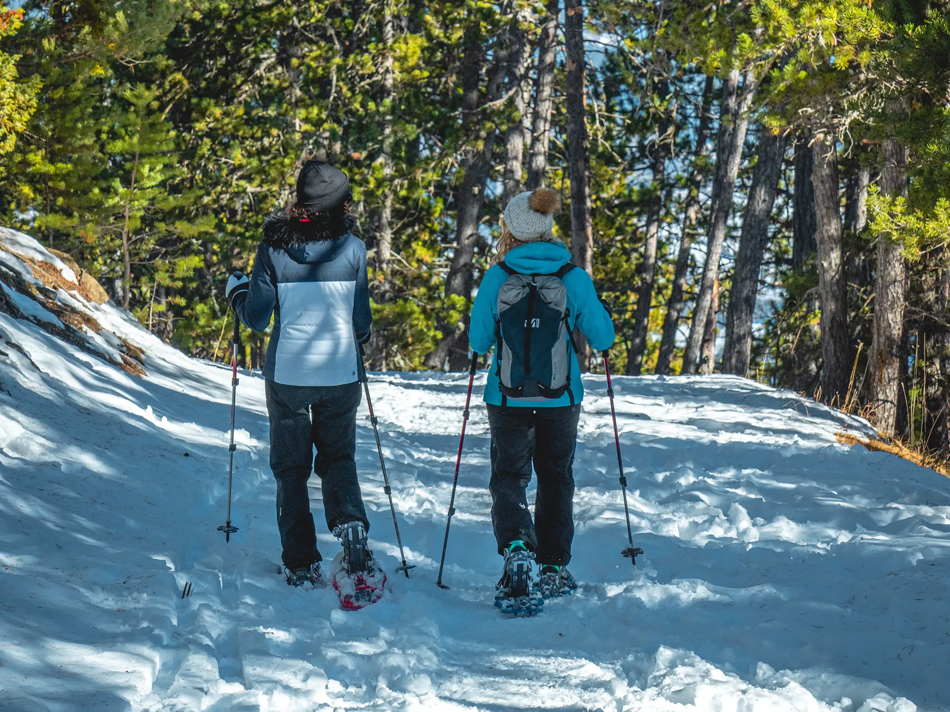 Itinéraire raquettes Rocher Jaumas