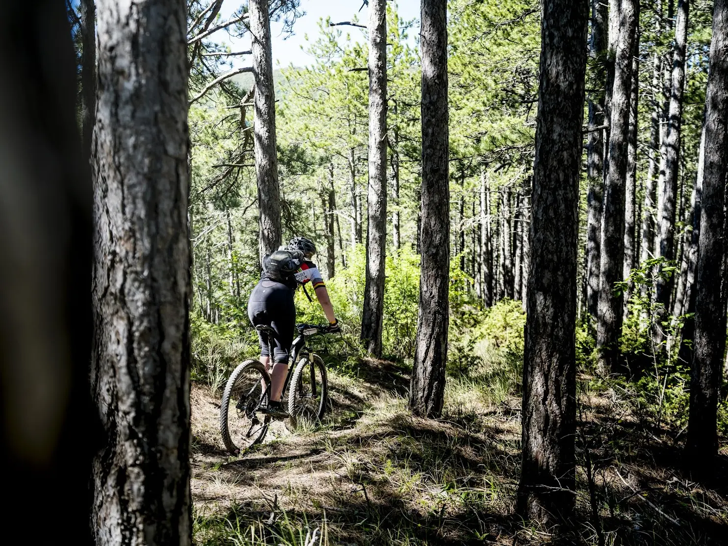 VTT - Forêt