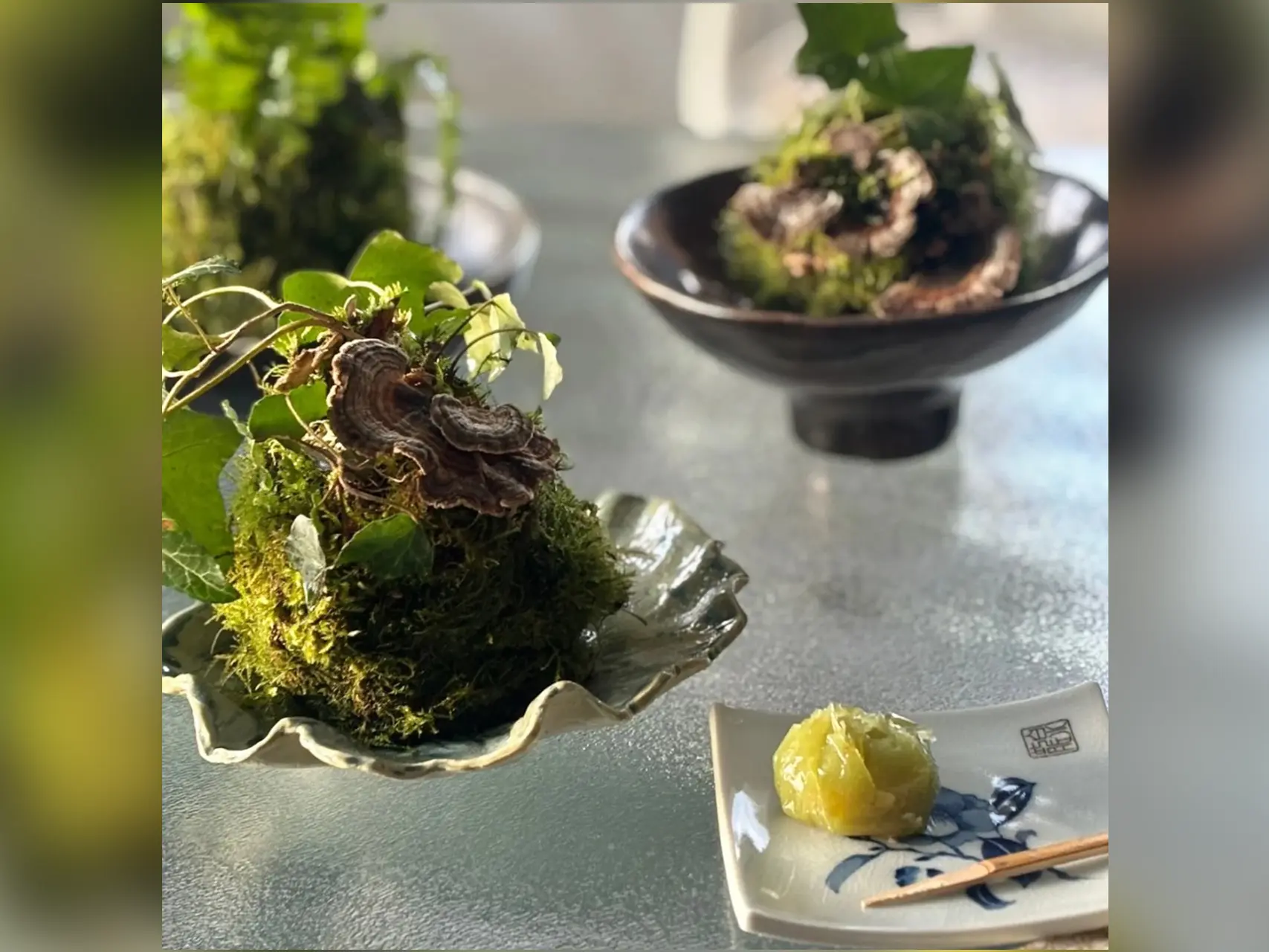 Atelier Kokedama japonais_Thônes