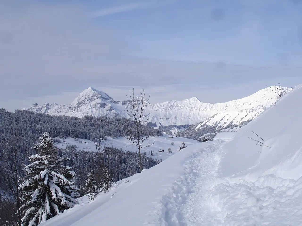 Vue depuis Le Mont-Rond