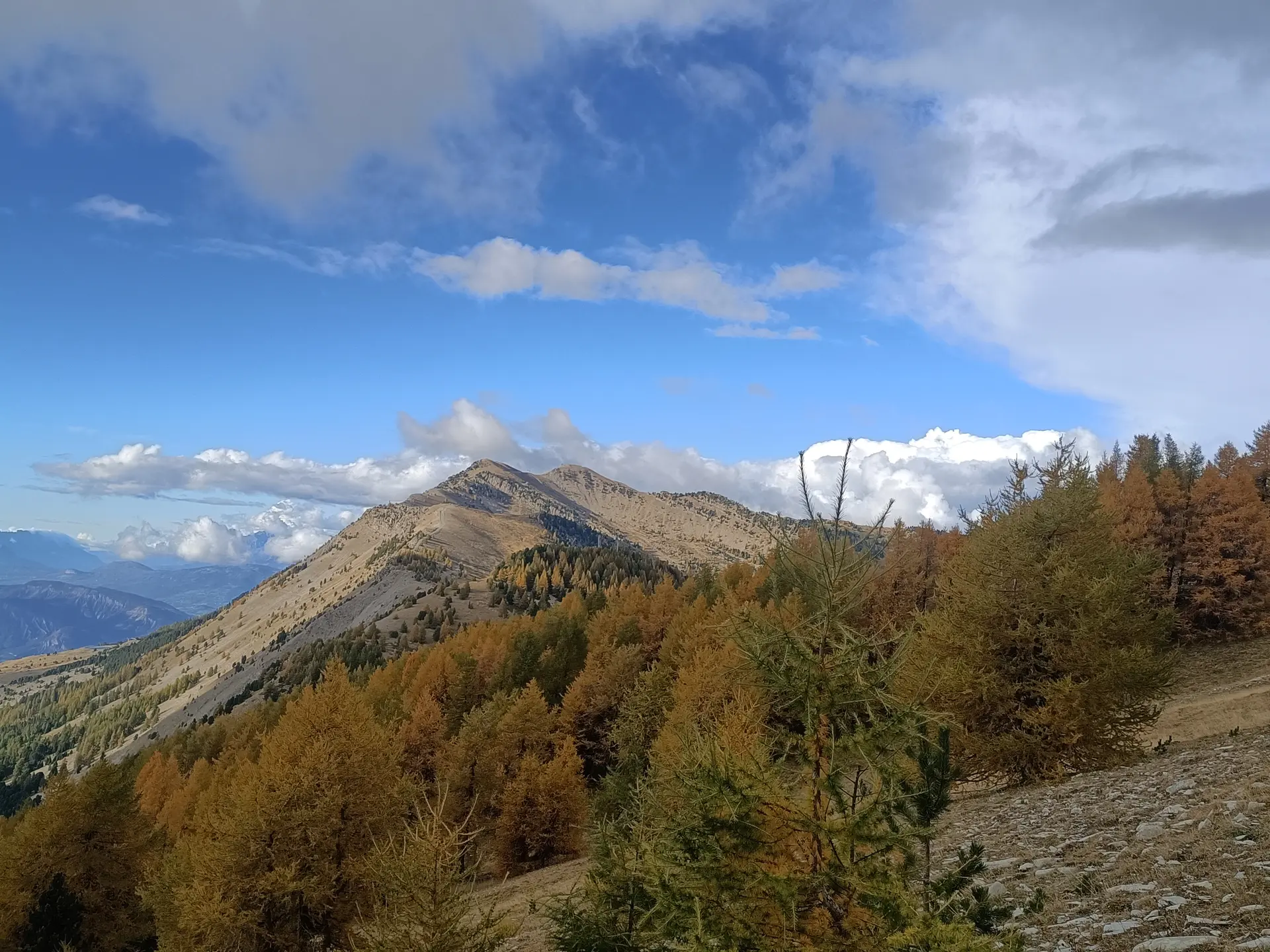 Randonnée journée_Montclar