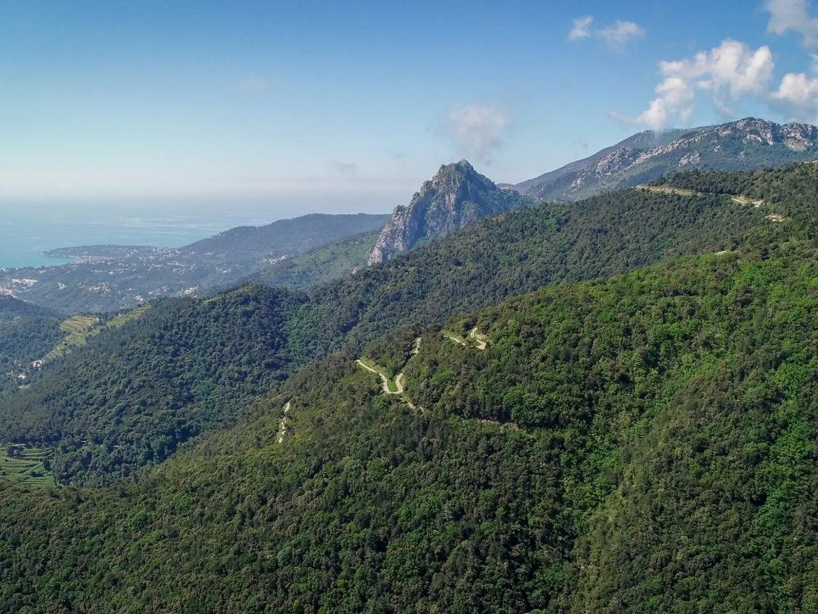 Parc Naturel Départemental de l'Ubac Foran