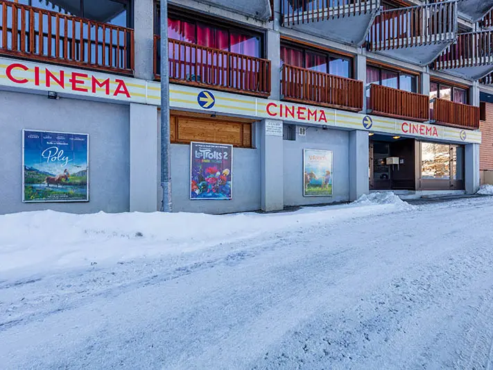 Cinéma de l'aiguille