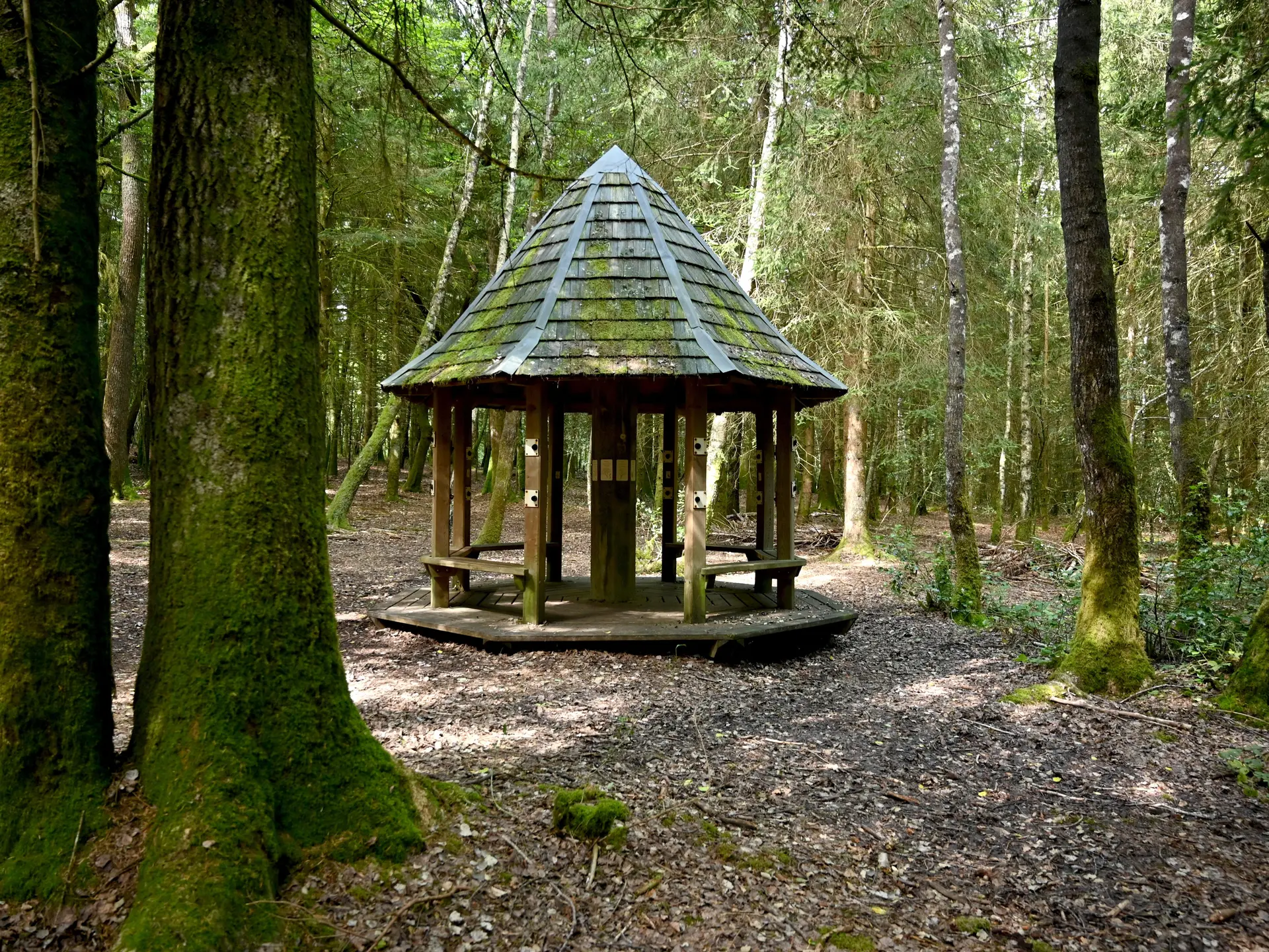 Sentier poésie
