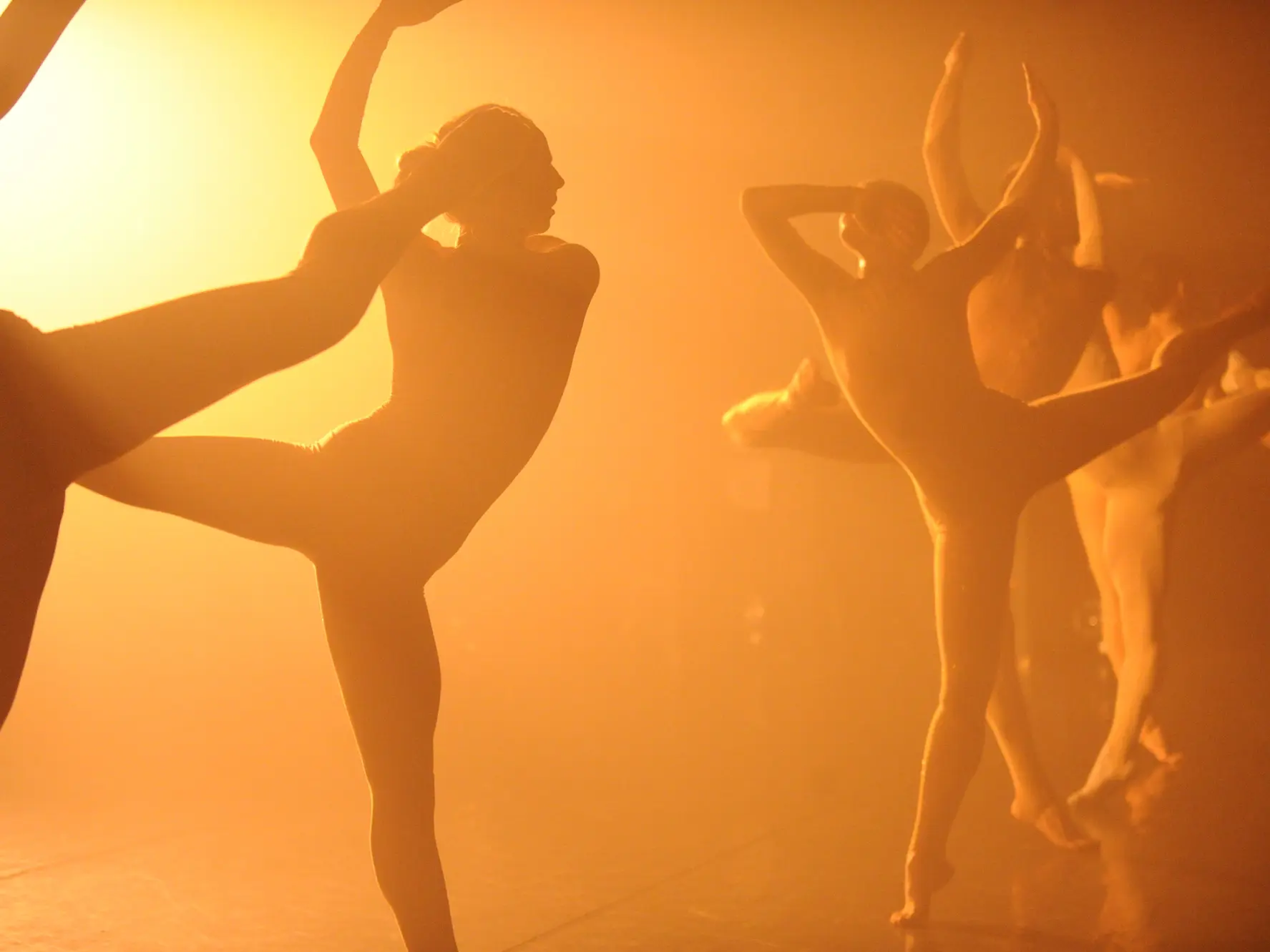 BALLET DE L’OPERA DE LYON - House de Sharon Eyal – Le Sacre du Printemps de Mats Ek_Fréjus