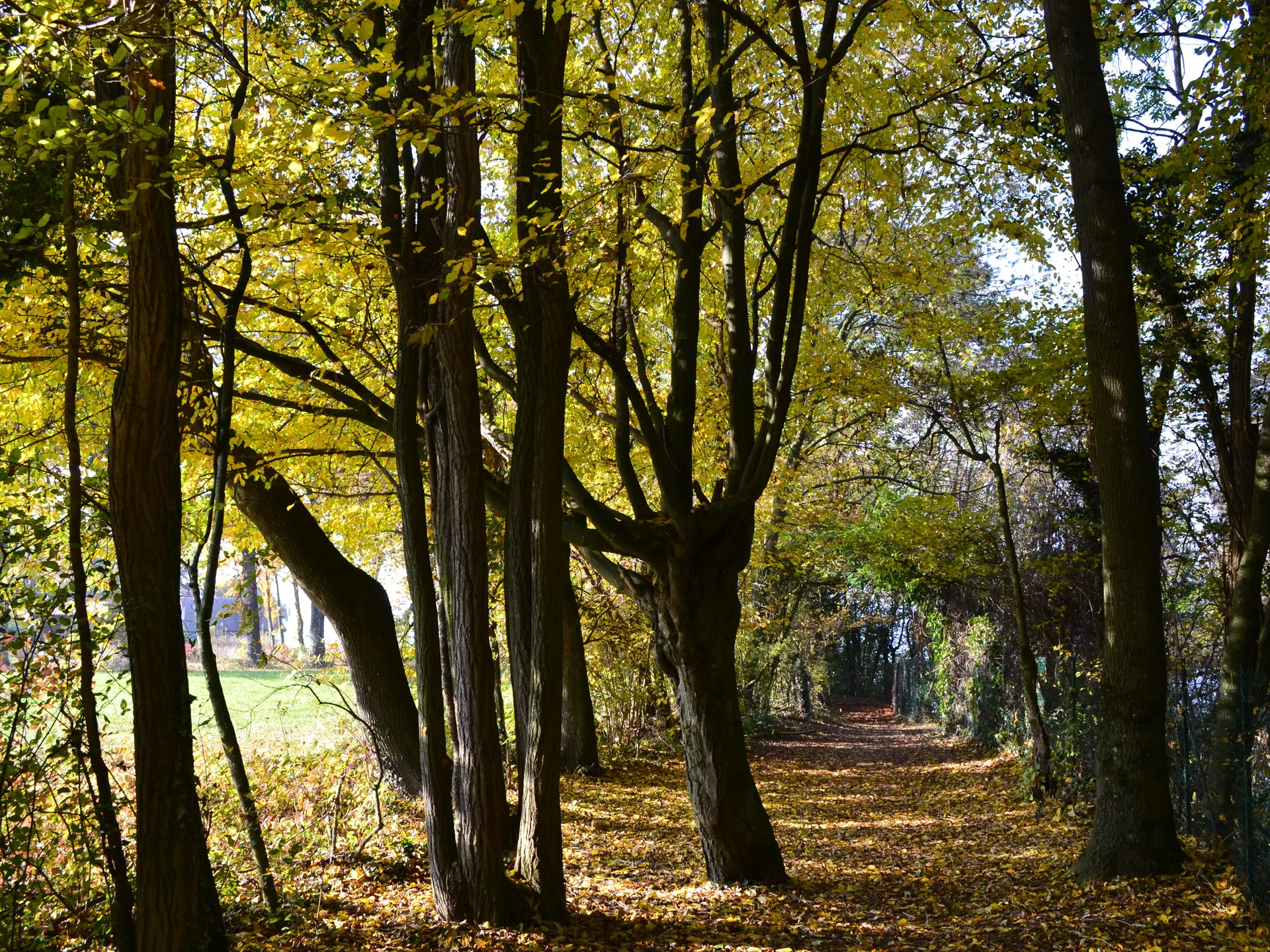Départ de la balade- chemin des Vaudois