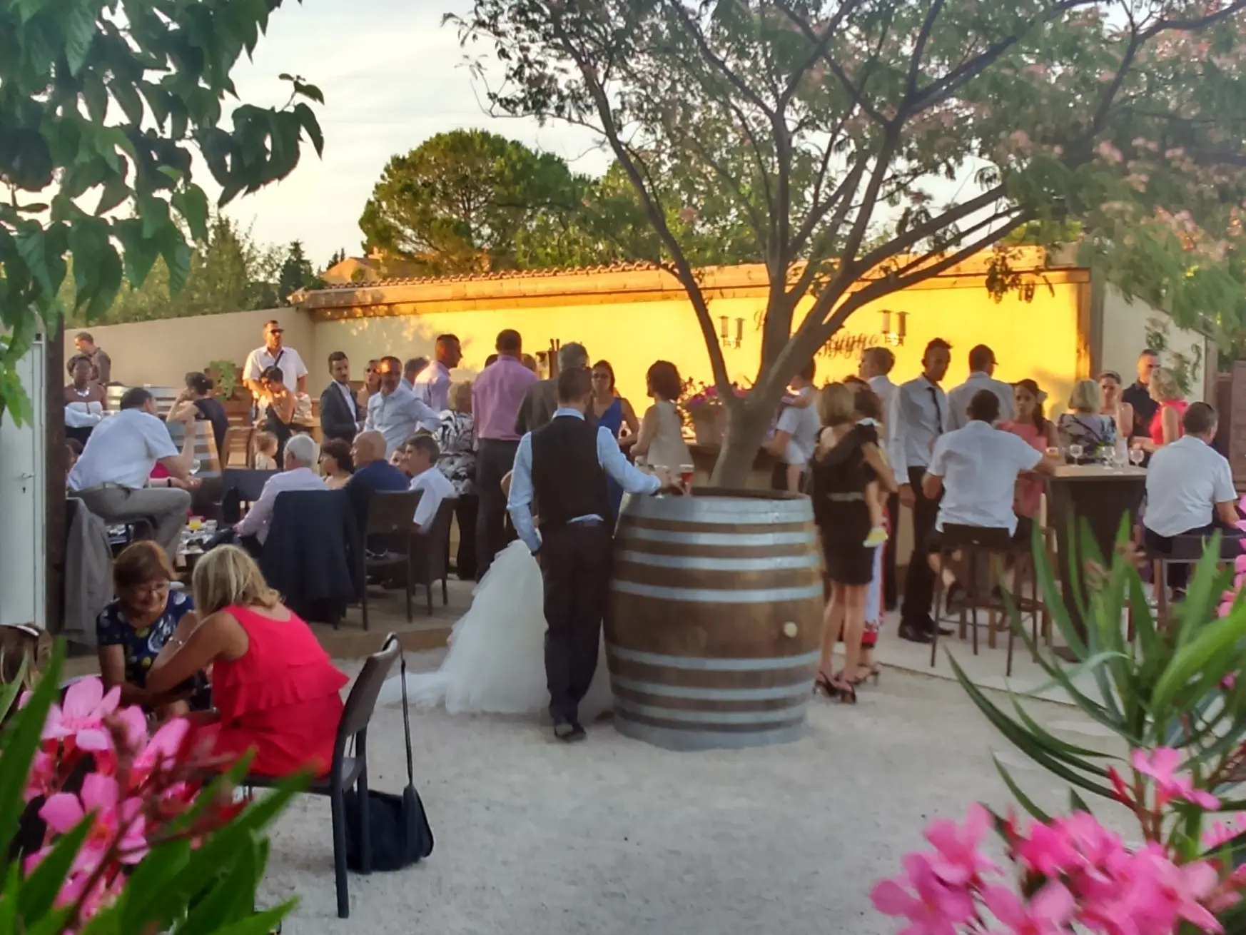 Lou mas de l'olivier