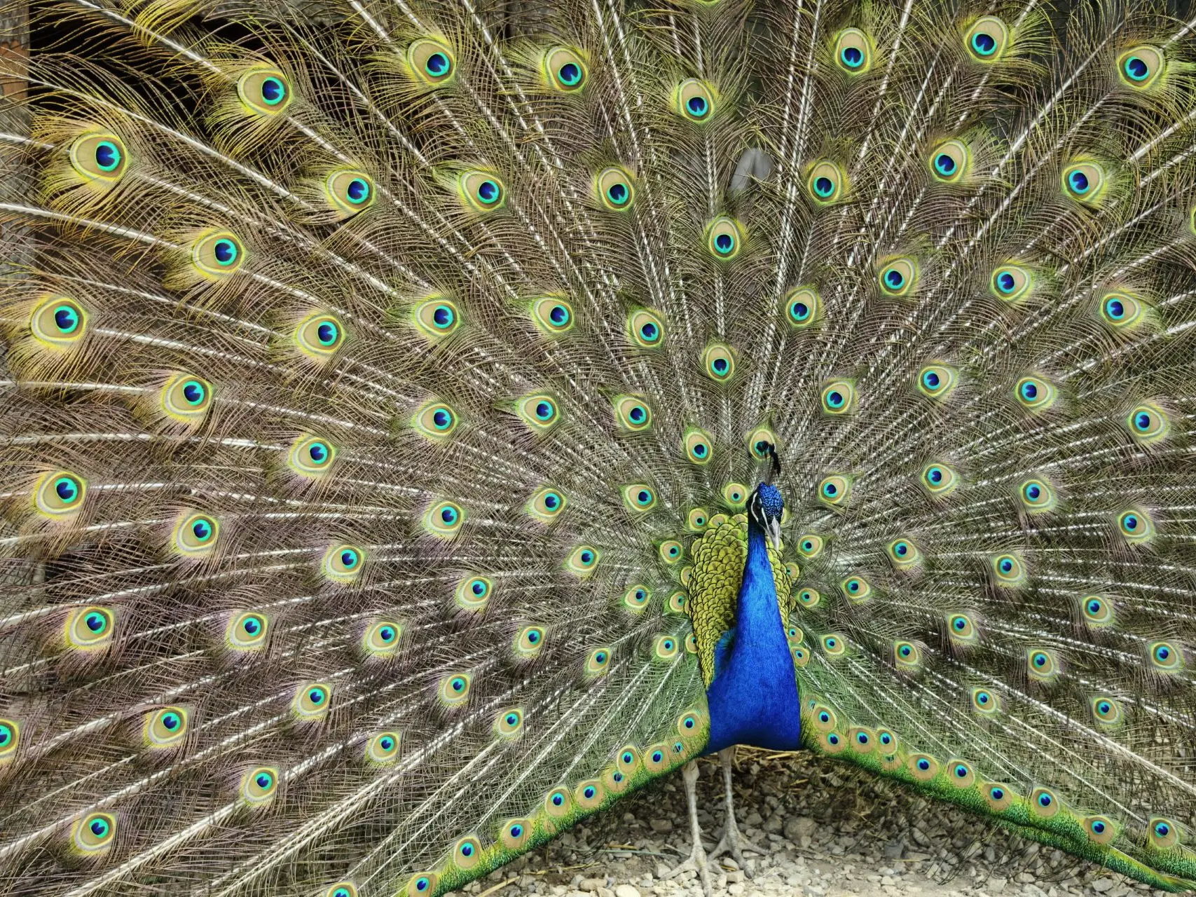 Mission découverte : Visite et pop corn_Sarrians