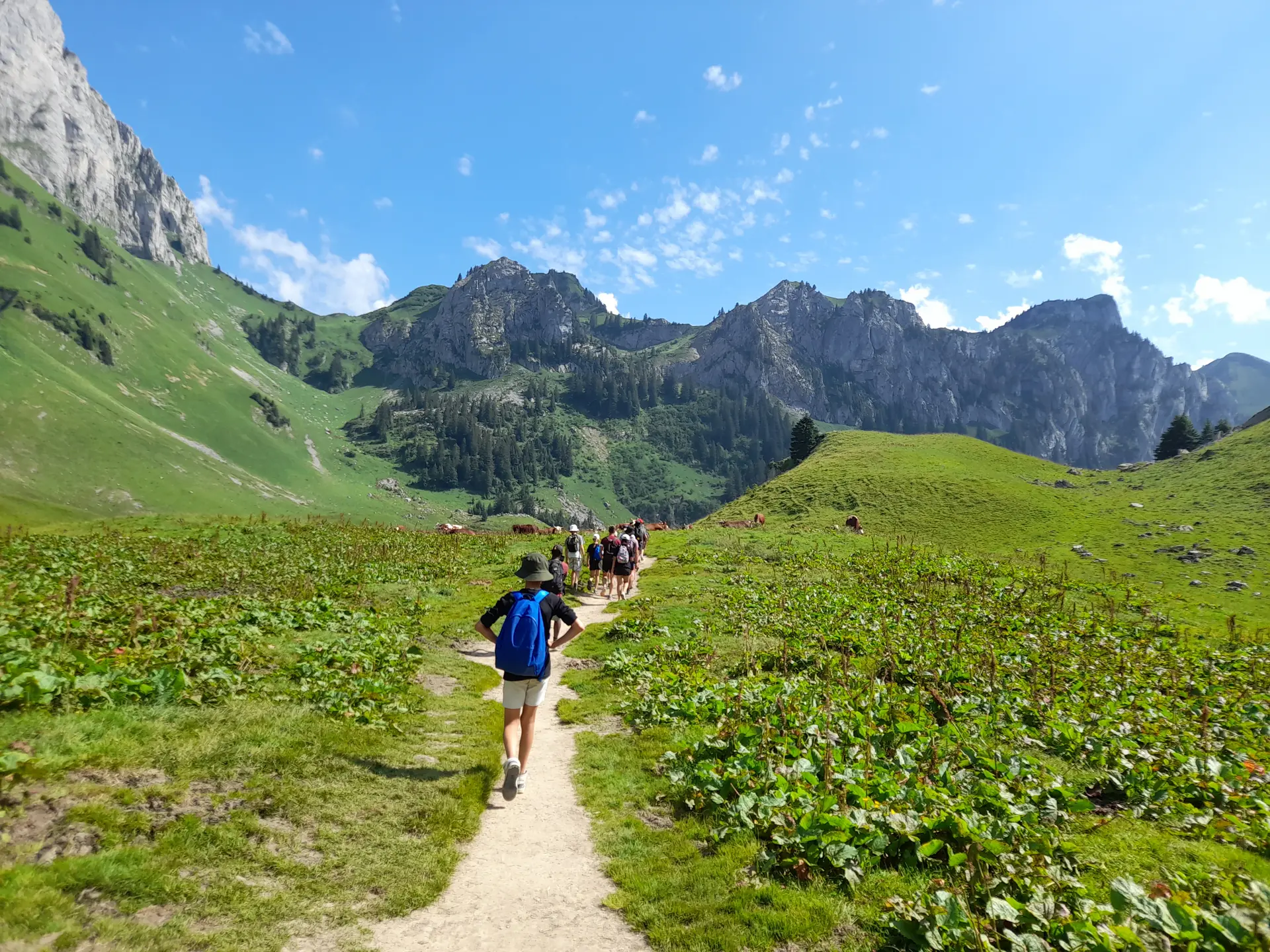 Groupe d'enfants en randonnée en montagne