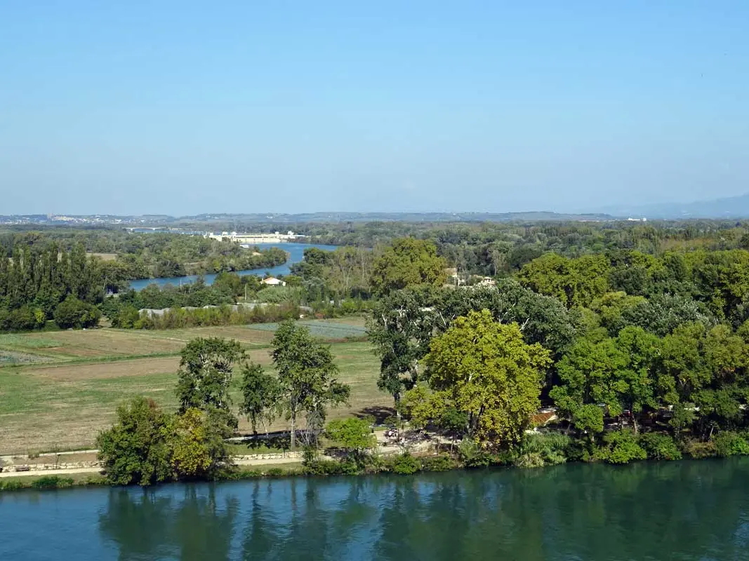 Ile de la Barthelasse