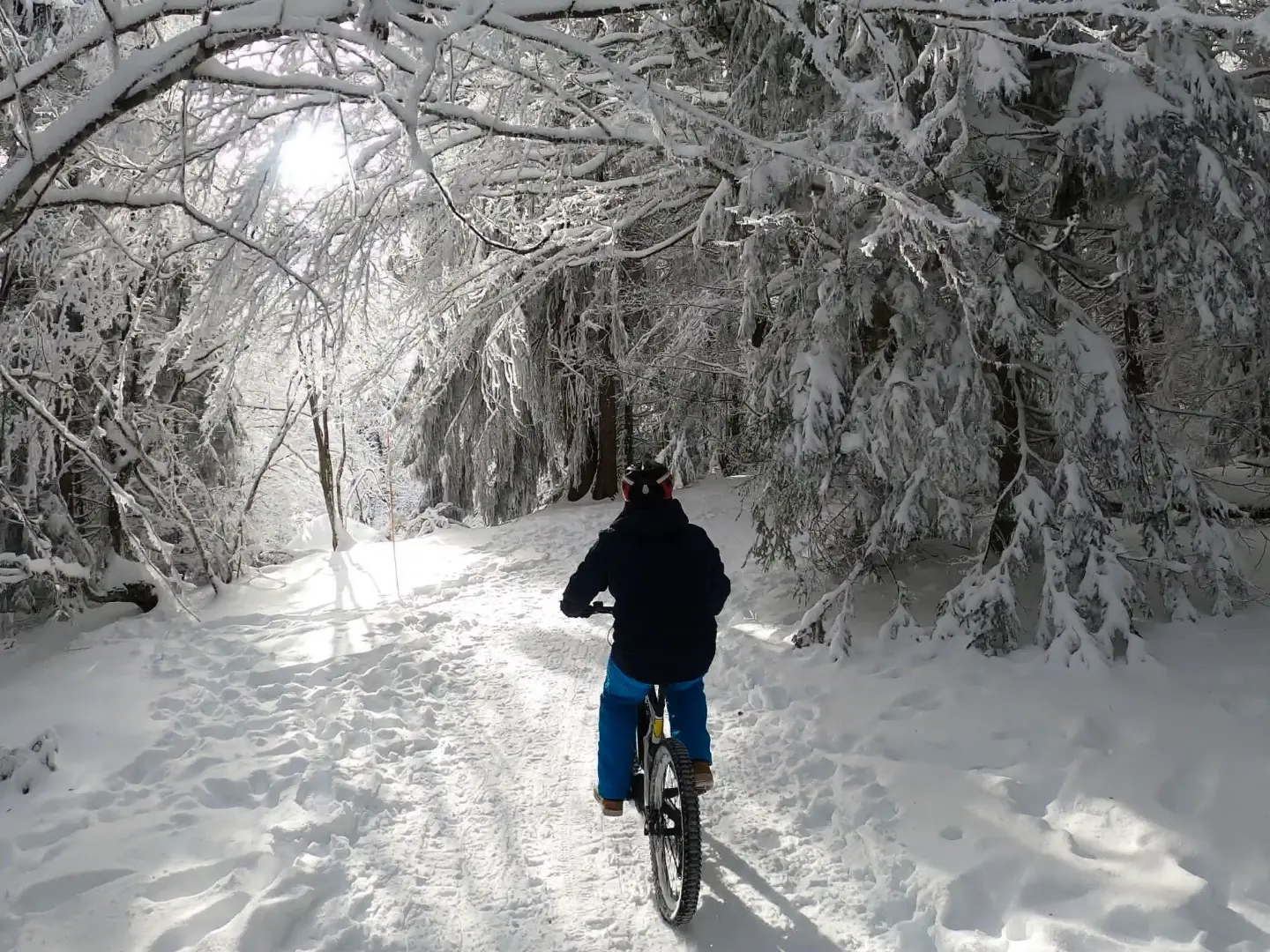 Le Salève en Fatbike sur neige