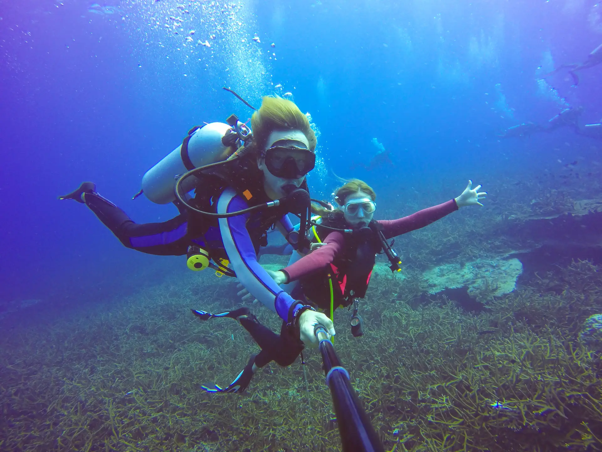 plongée sous marine