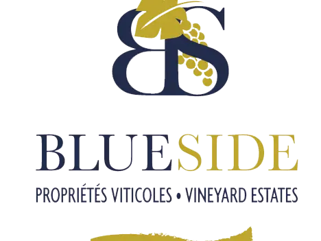 Blue side